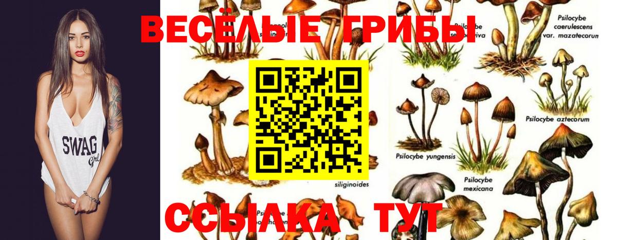 Псилоцибиновые грибы мухоморы  Вход с VPN  Лянтор  Галлюциногенные грибы Cubensis 